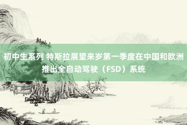 初中生系列 特斯拉展望来岁第一季度在中国和欧洲推出全自动驾驶（FSD）系统