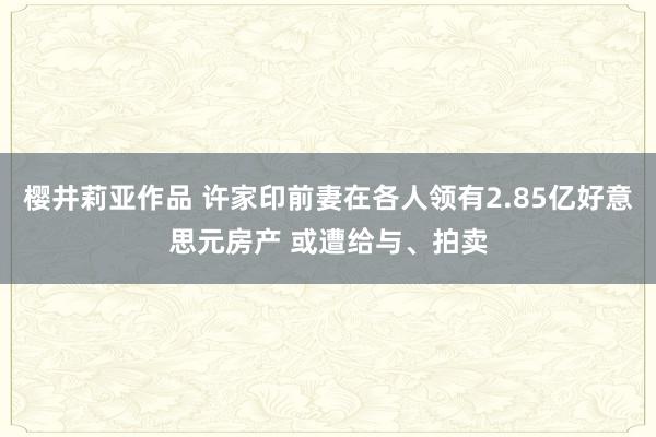 樱井莉亚作品 许家印前妻在各人领有2.85亿好意思元房产 或遭给与、拍卖
