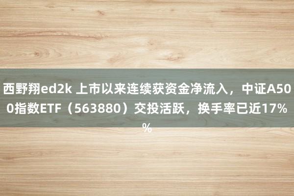 西野翔ed2k 上市以来连续获资金净流入，中证A500指数ETF（563880）交投活跃，换手率已近17%