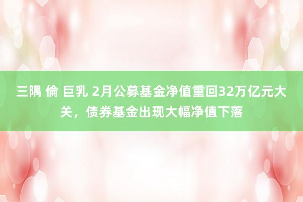 三隅 倫 巨乳 2月公募基金净值重回32万亿元大关，债券基金出现大幅净值下落